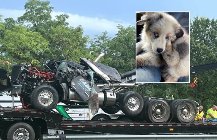 A dump truck driver from Bergen County who miraculously survived a horrific crash on Route 287 spent some of his time recuperating in a hospital bed thinking he&#x27;d lost his beloved dog.