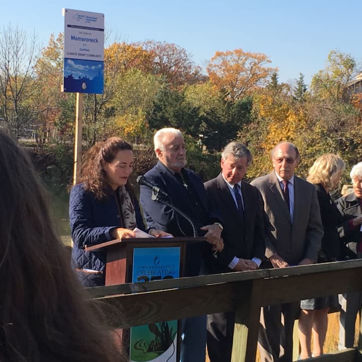 Mamaroneck town Supervisor Nancy Seligson speaks at Wednesday&#x27;s news conference.