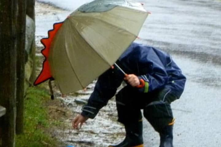 It may be prudent to keep umbrellas handy with rain in the forecast for the next several days. March 13 too 19 is Flood Safety Awareness Week.