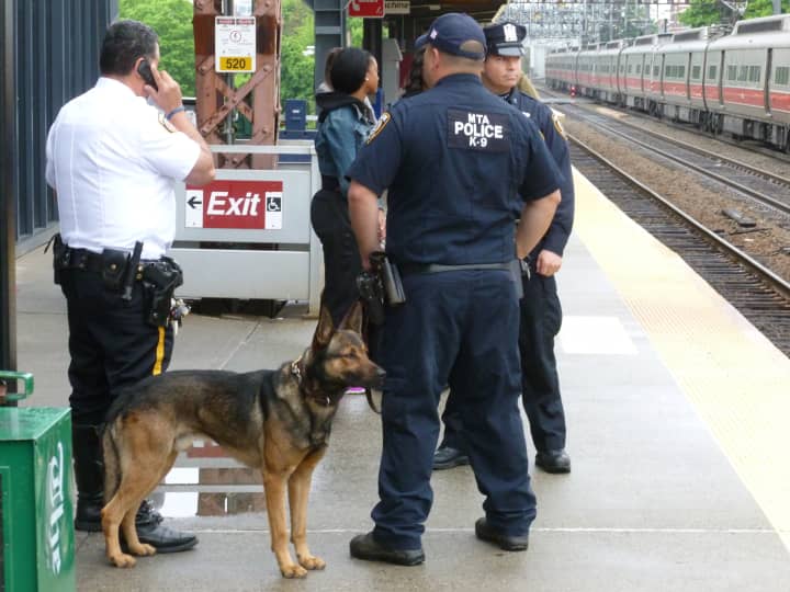Additional MTA police officers were deployed to the South Norwalk Train Station Monday to help with crowd control.