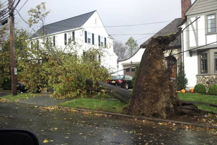 Harrison has received a $370,000 grant from FEMA to help cover the cost of the Hurricane Sandy cleanup.