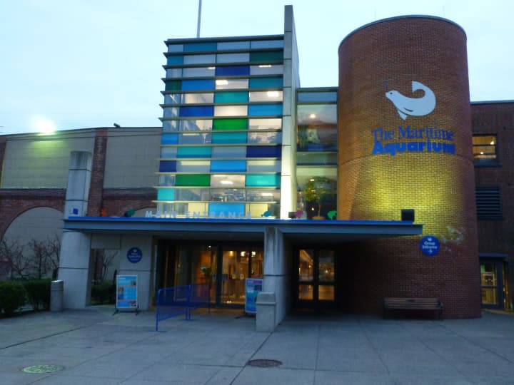The Maritime Aquarium at Norwalk, and the former Globe Theater on Wall Street in Norwalk, are slated to receive state funding for improvement projects.
