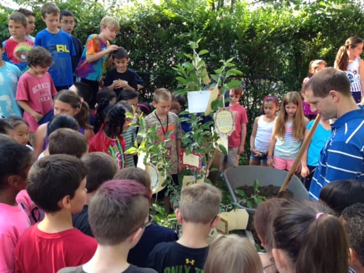 Tuckahoe students place poems on their newly planted apple tree.