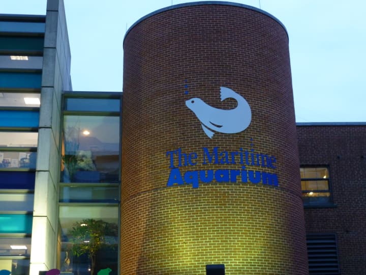 The Maritime Aquarium in Norwalk is one of the featured places to visit in Connecticut. 