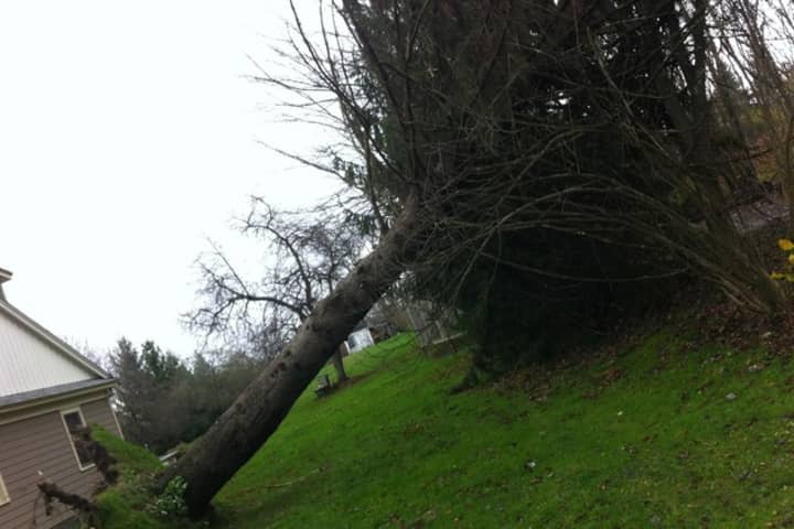 The National Weather Service confirms that a tornado traveled through Greenwich on Monday. 