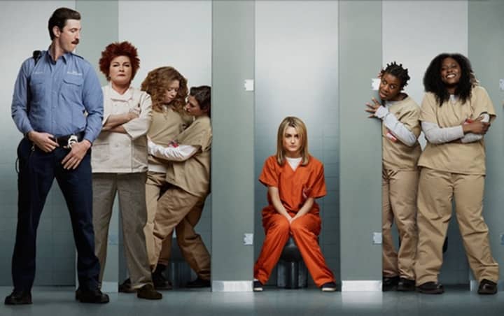 The Internet movie website, Netflix, has a new show starting July 11 called &quot;Orange is the New Black.&quot; It is based on the experiences Piper Kerman wrote about in her book by the same title in the  Federal Correctional Institution in Danbury.