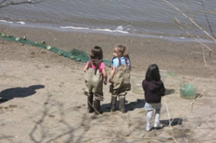 Register your child to help the Kathryn W. Davis RiverWalk Center count fish and learn about aquatic life in the Hudson River.