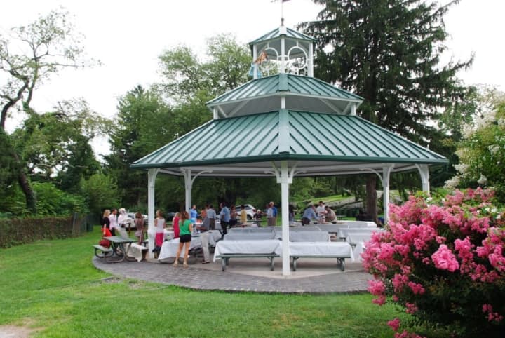 The Greenwich Chamber of Commerce&#x27;s annual picnic is scheduled for Aug. 14 in Byram Park.