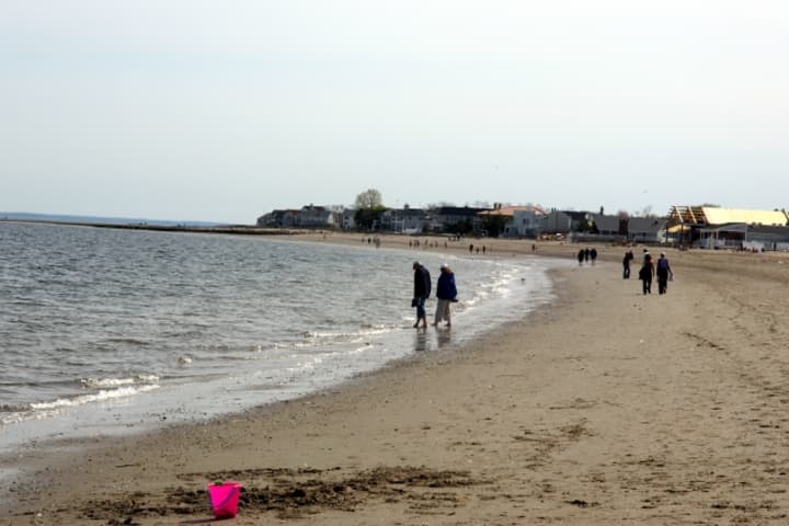 Jellyfish and cases of swimmers Itch have been reported at many of  Fairfield&#x27;s beaches. 