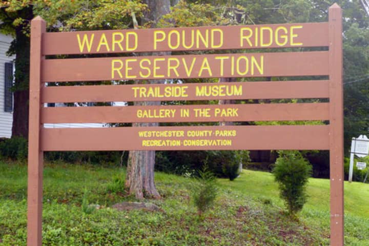 Ward Pound Ridge Reservation is the spot for the monthly &quot;Starway to Heaven&quot; observations.