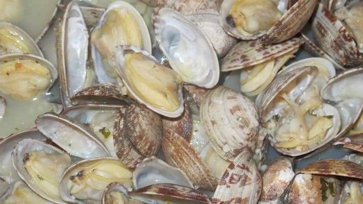 Raw or undercooked shellfish have been implicated as the source of a number of illnesses related to the naturally occurring bacterium Vibrio parahaemolyticus. 