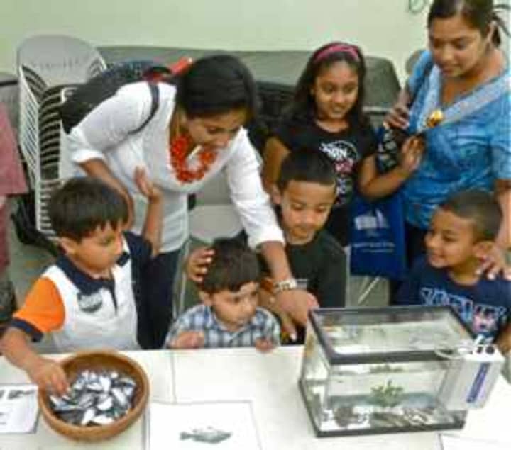 Creatures from the Mamaroneck Marine Education Center took a trip to the New Rochelle library on Wednesday.