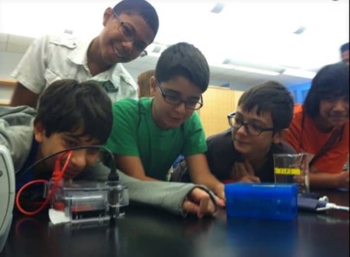 Danbury middle school students in the summer Bridges program test food particles for salmonella at the Western Connecticut State University Science Building.