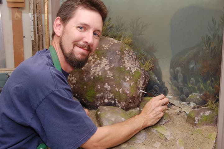 Sean Murtha, who works at Greenwich&#x27;s Bruce Museum, was recently honored as Artist of the Year by the Connecticut Audubon Society.