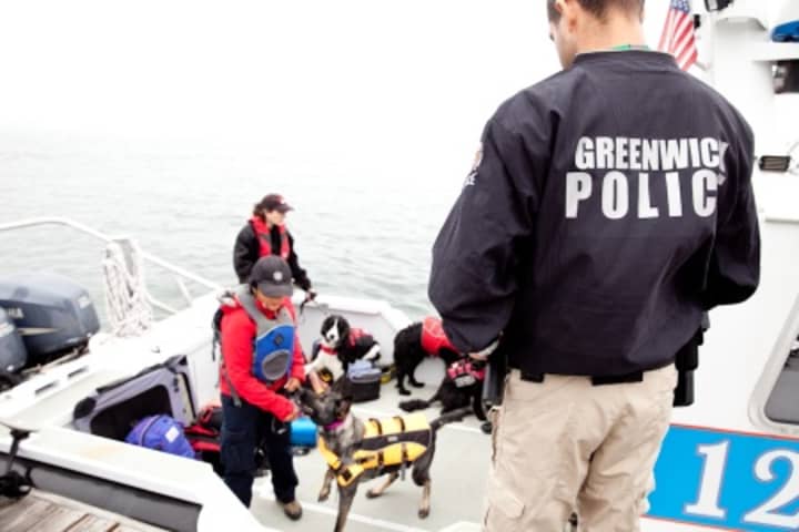 Greenwich Police assisted the Connecticut Canine Search and Rescue Team during a joint training session.