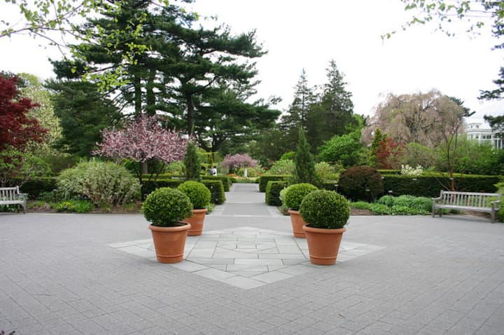 The Greenwich Tree Conservancy will take a private guided tour through the New York Botanical Garden later this month. 