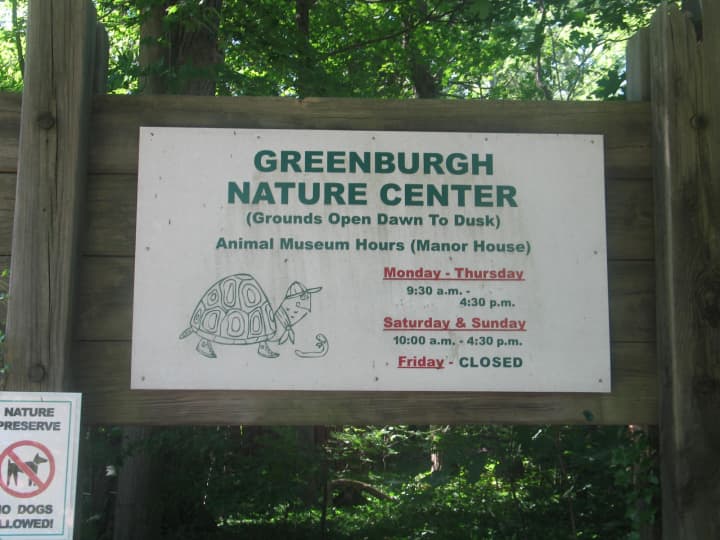 Joan Strier&#x27;s art will be exhibited at the Greenburgh Nature Center.