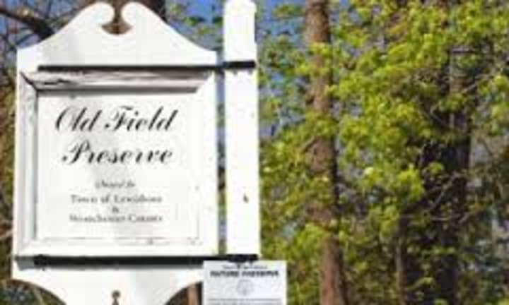 LoHud.com reports that Lewisboro received county money to help buy the Old Field Preserve in exchange for building housing units, but has yet to build the homes.