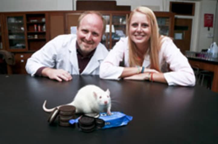 Professor Joseph Schroeder and student Lauren Cameron helped with a study that proved Oreo cookies can be as addictive as cocaine in lab rats. 