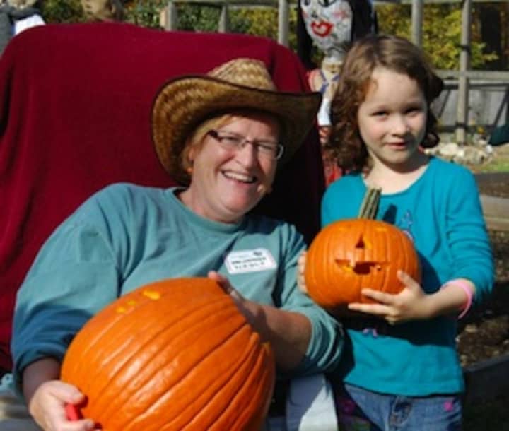 The Stamford Museum &amp; Nature Center is hosting the annual Harvest Festival Weekend kicking off on Friday. 