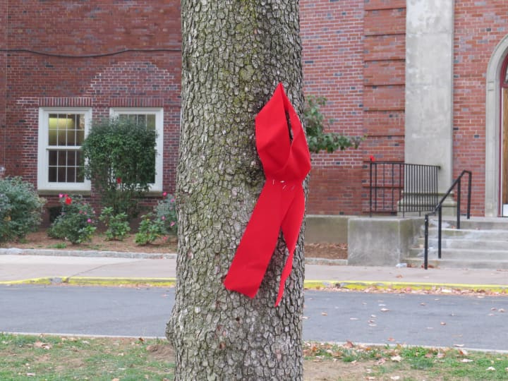 A red ribbon on a tree in Eastchester.