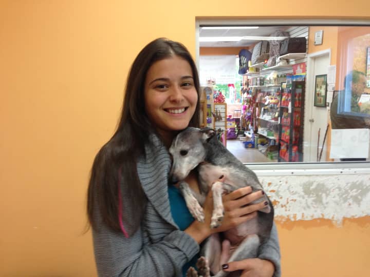 Owner Cristina Racanelli envisioned a one stop shop for dogs three years ago.