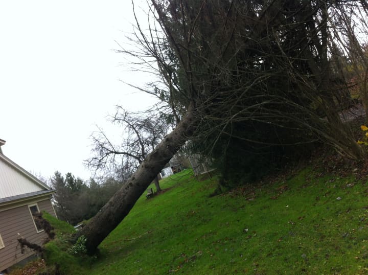 High winds on Friday could knock down trees or power lines. 