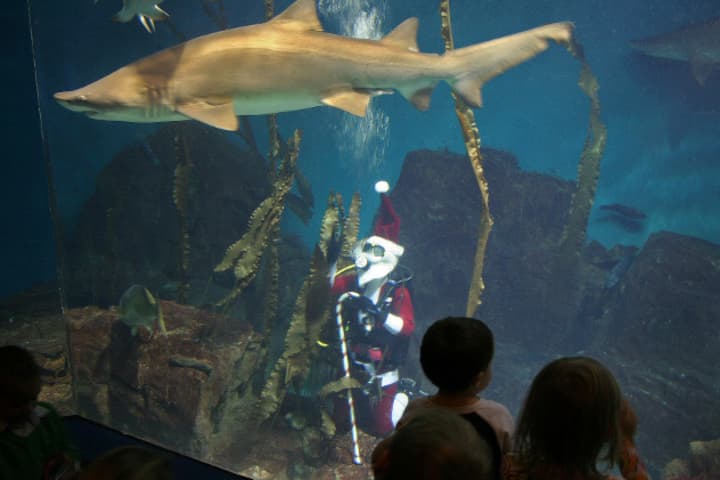 Santa Claus is planning several visits to The Maritime Aquarium in Norwalk. 