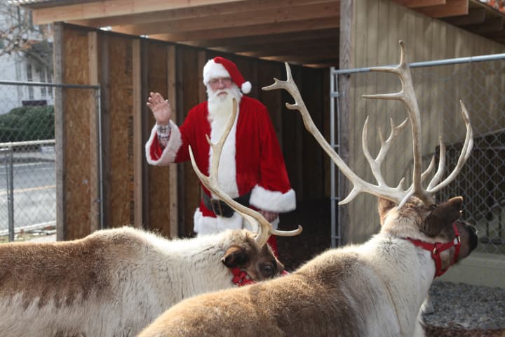 Santa and his reindeer are taking up residence in Greenwich until Christmas Eve as part of the fifth annual Greenwich Reindeer Festival.