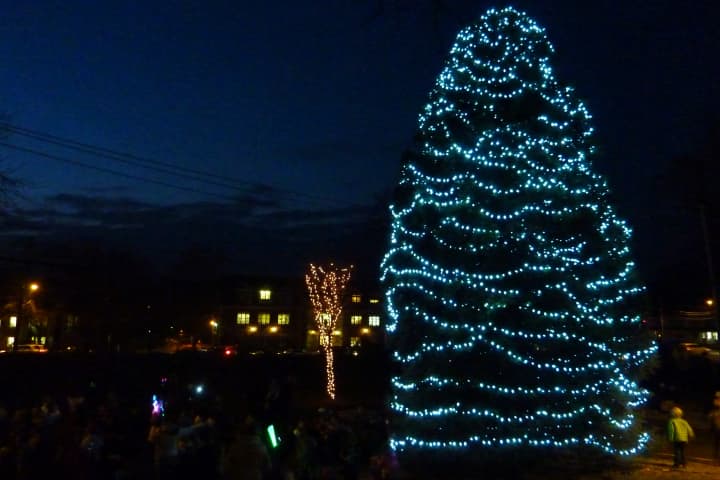 Westport will hold its annual Tree Lighting ceremony at Town Hall on Friday