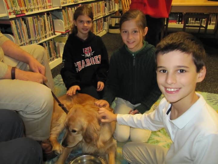 Maggie the comfort dog interacts with children during a visit to the Chapel School in Bronxville.