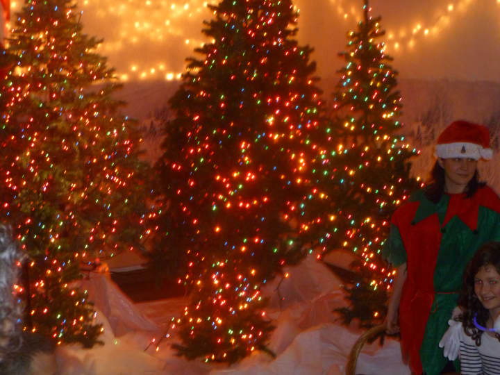 The Hastings Christmas tree was lighted indoors at the James Harmon Community Center.