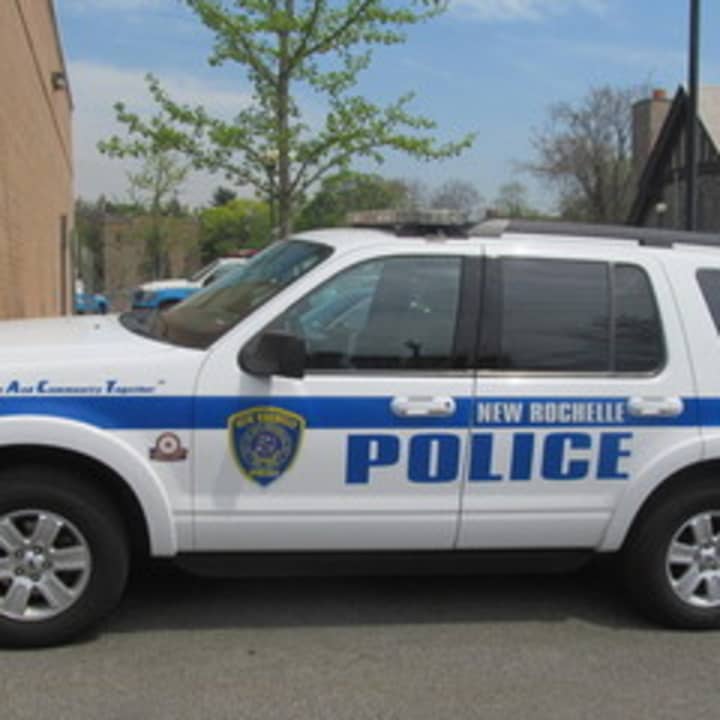 New Rochelle police are searching for a suspect who vandalized five cars.