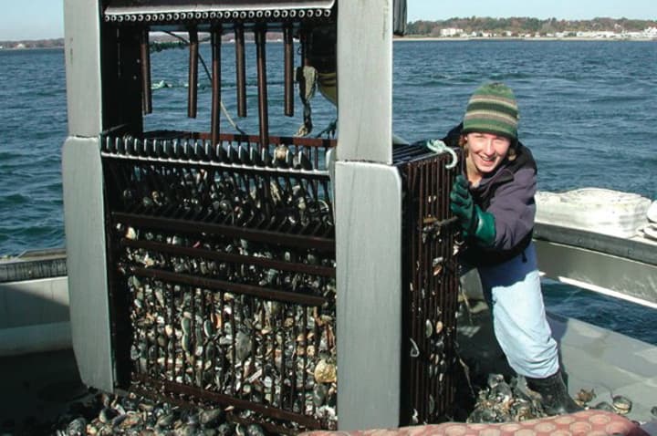 A Quick Grant will help the Bruce Museum with its three-part lecture series on oyster fishing in Long Island Sound.