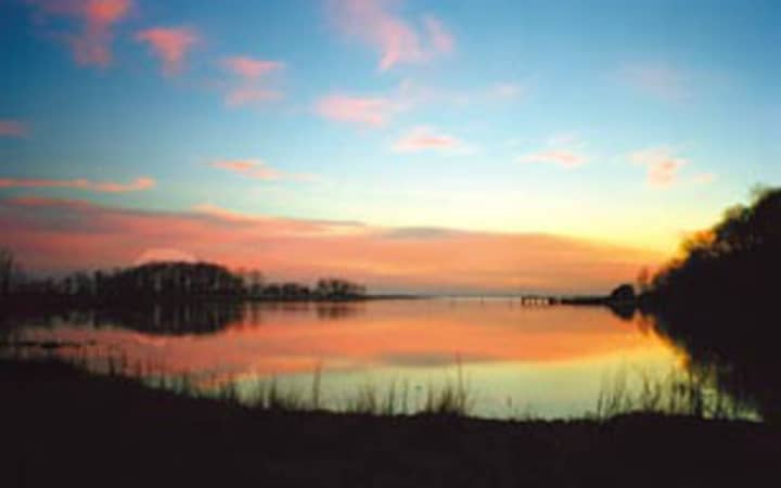 The Marshlands Conservancy seeks submissions for an upcoming art show.