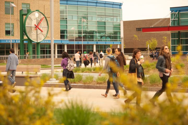 Purchase College was named a &quot;Best Value&quot; school by The Princeton Review.