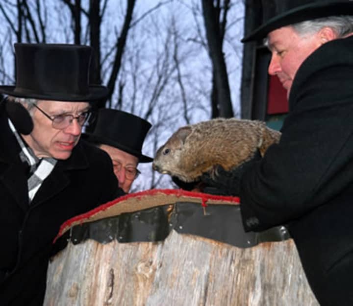 Pennsylvania&#x27;s Punxsutawney Phil sees his shadow on Sunday, Groundhog Day, predicting six more weeks of winter. 