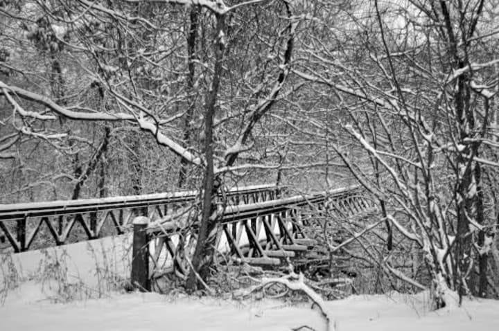It&#x27;s a serene scene in the woods in Fairfield after Wednesday&#x27;s snowstorm. 