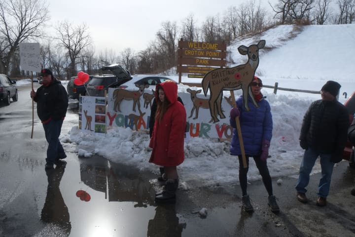 Croton-on-Hudson residents protest the deer culling that began at Teatown Friday night. 
