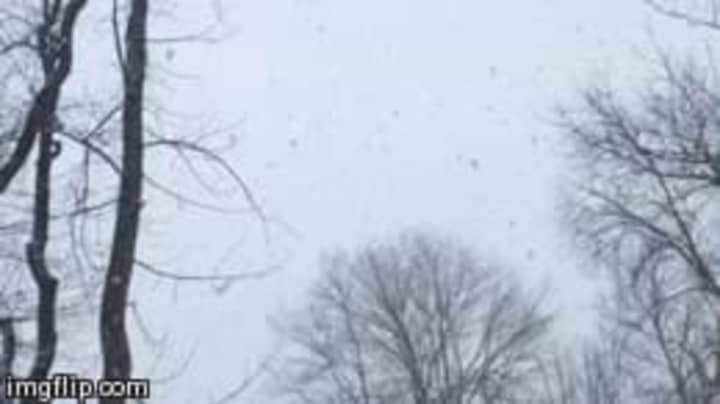 The snow is falling in large, heavy flakes all around Fairfield County.