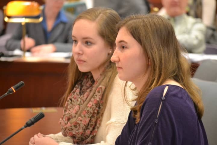 Millie Cunningham of Norwalk and Kirsi Balazs of Stamford speak to a committee of the Connecticut General Assembly in Hartford last week.