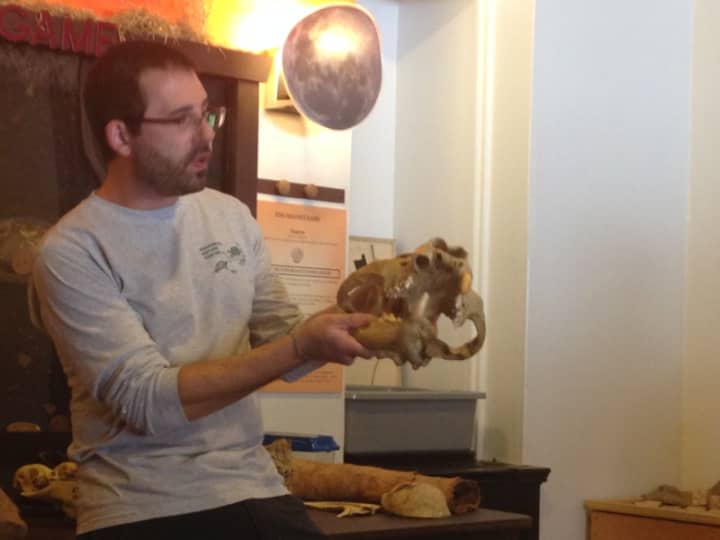 Greg Wechgelaer led an interactive event on animal bones at the Greenburgh Nature Center on Sunday.