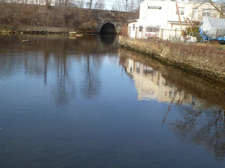 The latest on a study of the risk of flooding of the Byram River in Greenwich will be presented on Thursday.