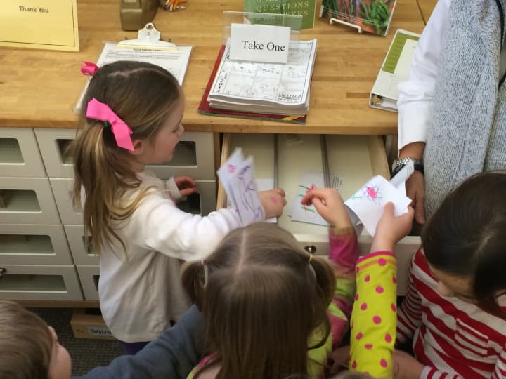 Preschoolers from Fairfield&#x27;s Hill Farm Preschool put their decorated envelops into the seed library at Fairfield Woods Branch Library. 