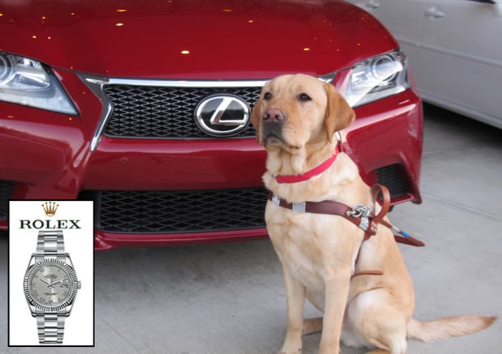 Guiding Eyes Aris poses with a Lexus, which will be raffled off, along with a Rolex watch (inset).