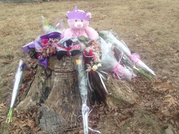 Items have been placed on a tree stump along Ridgebury Road in Ridgefield in memory of Emma Sandhu, who was killed last Friday night while walking along the road near her home.
