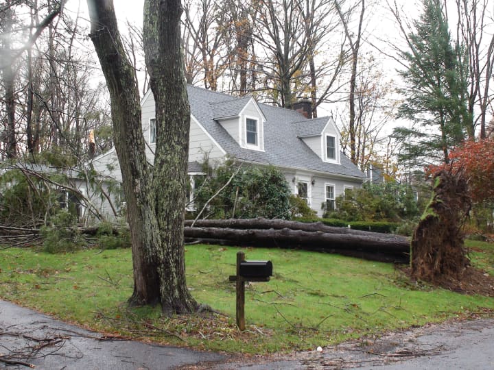 Strong, gusty winds could blow down tree or branches on Wednesday across Fairfield County. 