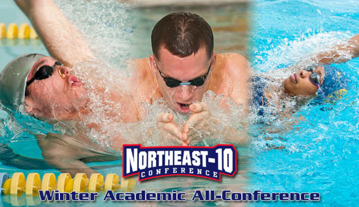 The Northeast-10 Winter Academic All-Conference selected three Pace University swimmers to be a part of the team. 