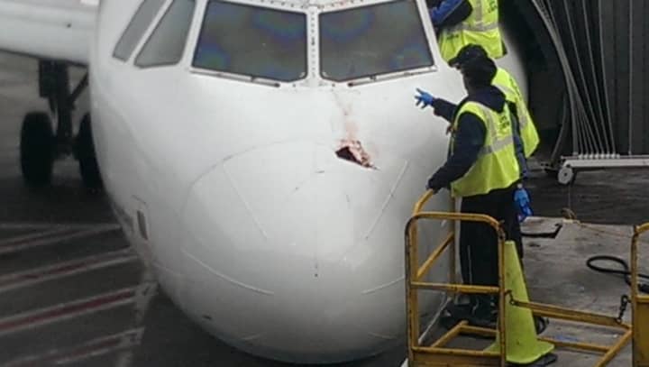 JFK International Airport ground crew members examine the damage on the nose of JetBlue Flight 671, that hit a flock of birds on Monday morning.