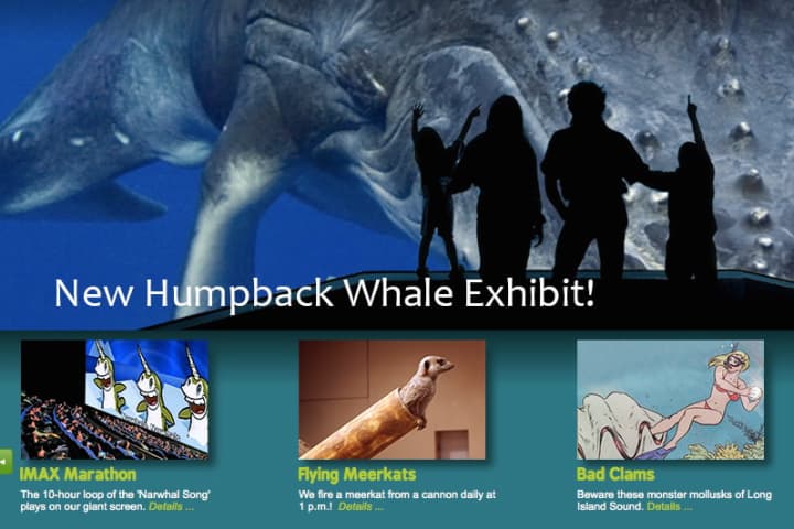 April Fools! The Maritime Aquarium is featuring a fake-out homepage on Tuesday.